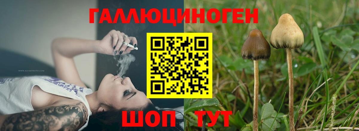 Галлюциногенные грибы мухоморы Тобольск